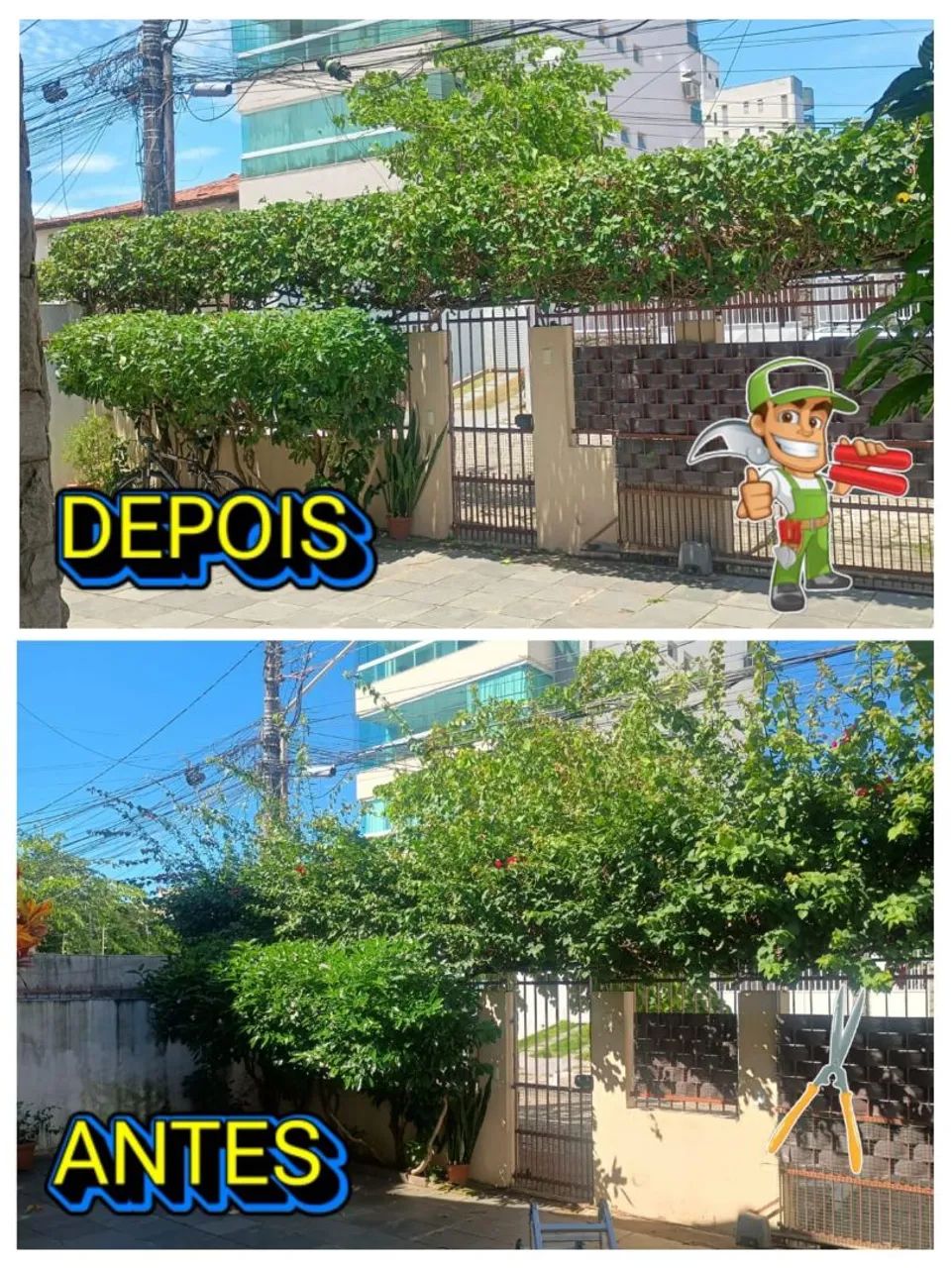 Jardineiro  - Foto 4