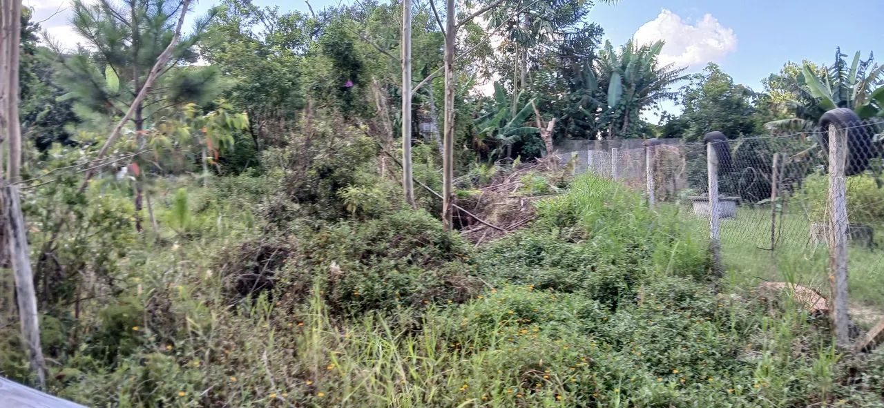 Foto - Mogi das Cruzes - Biritiba Ussu