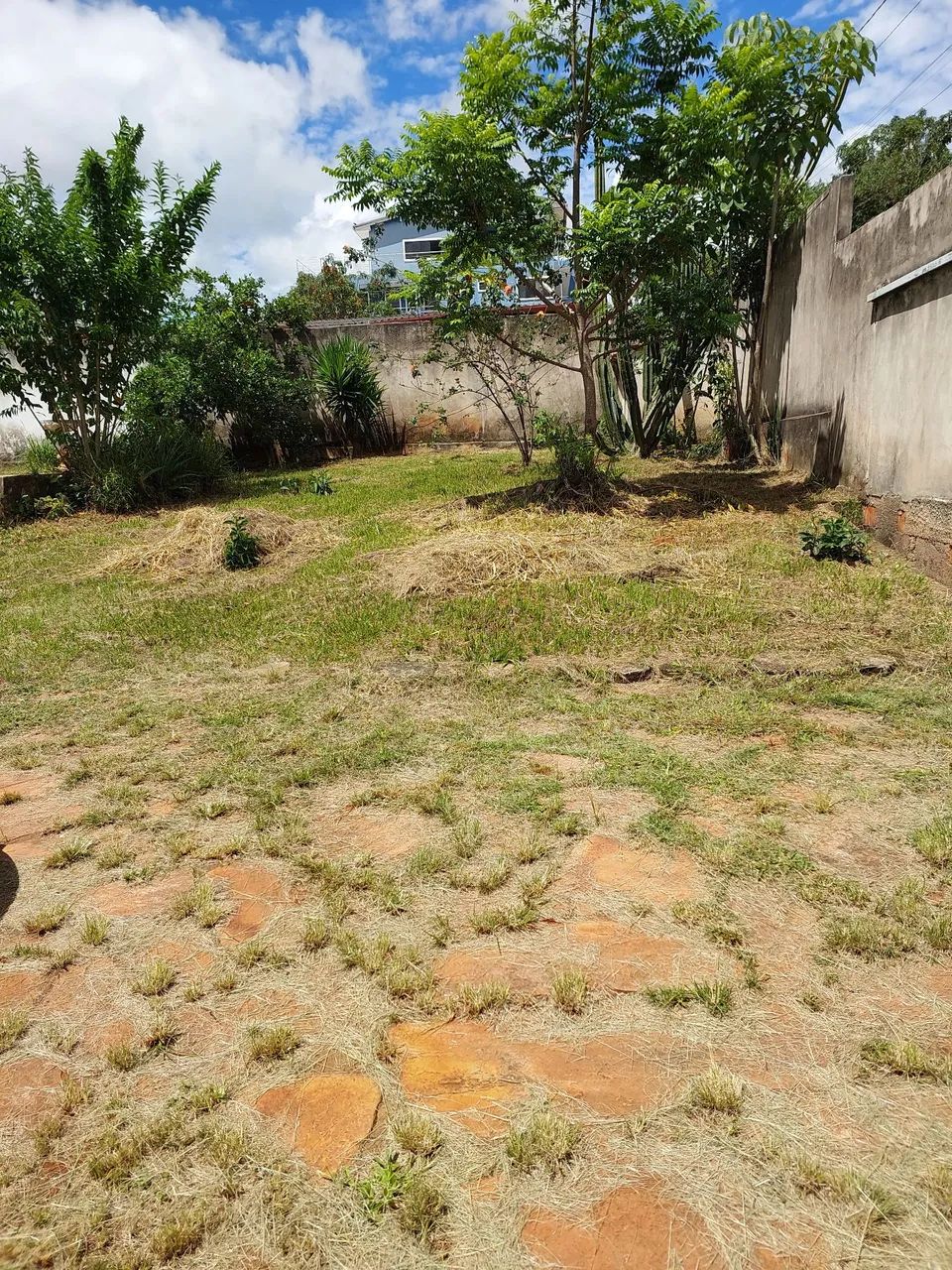 VENDO Sucupira Riacho fundo 1 - Foto 5