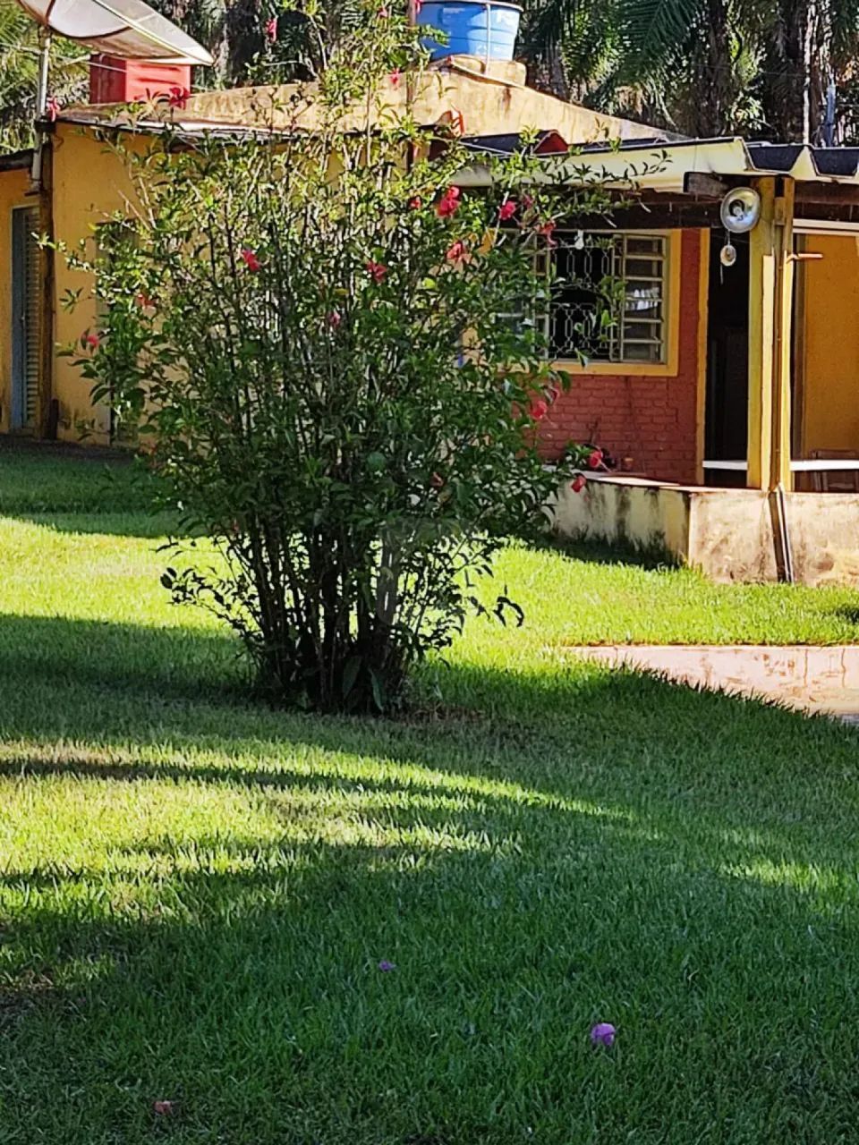 Chácara Para venda Emborcação - Foto 3
