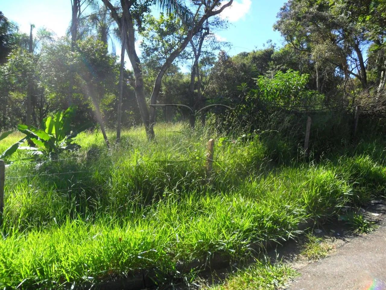Terrenos Padrão em Poços de Caldas - Foto 3
