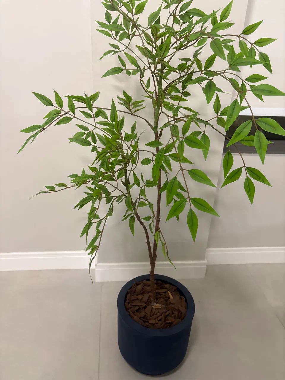 Vaso  com planta 