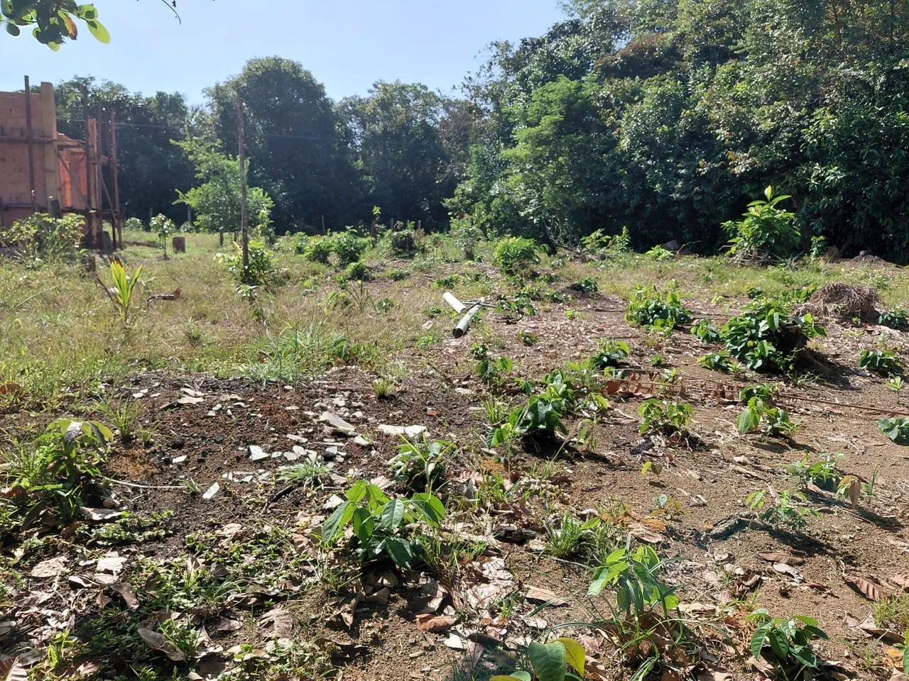 Lote Estrada Janauari - Iranduba 