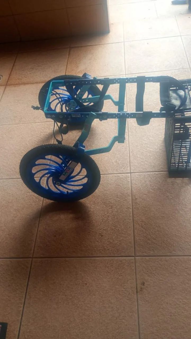 Cachorro andador - Foto 2