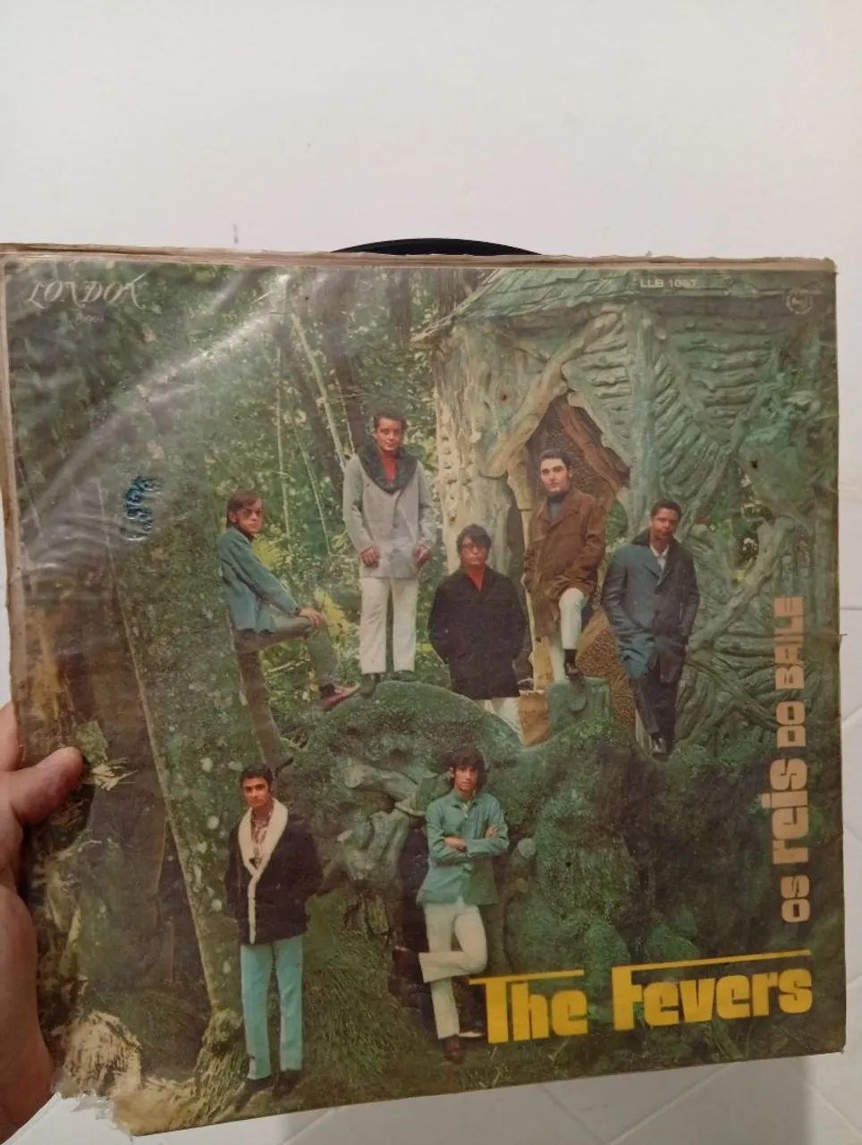 Disco de vinil the fever 