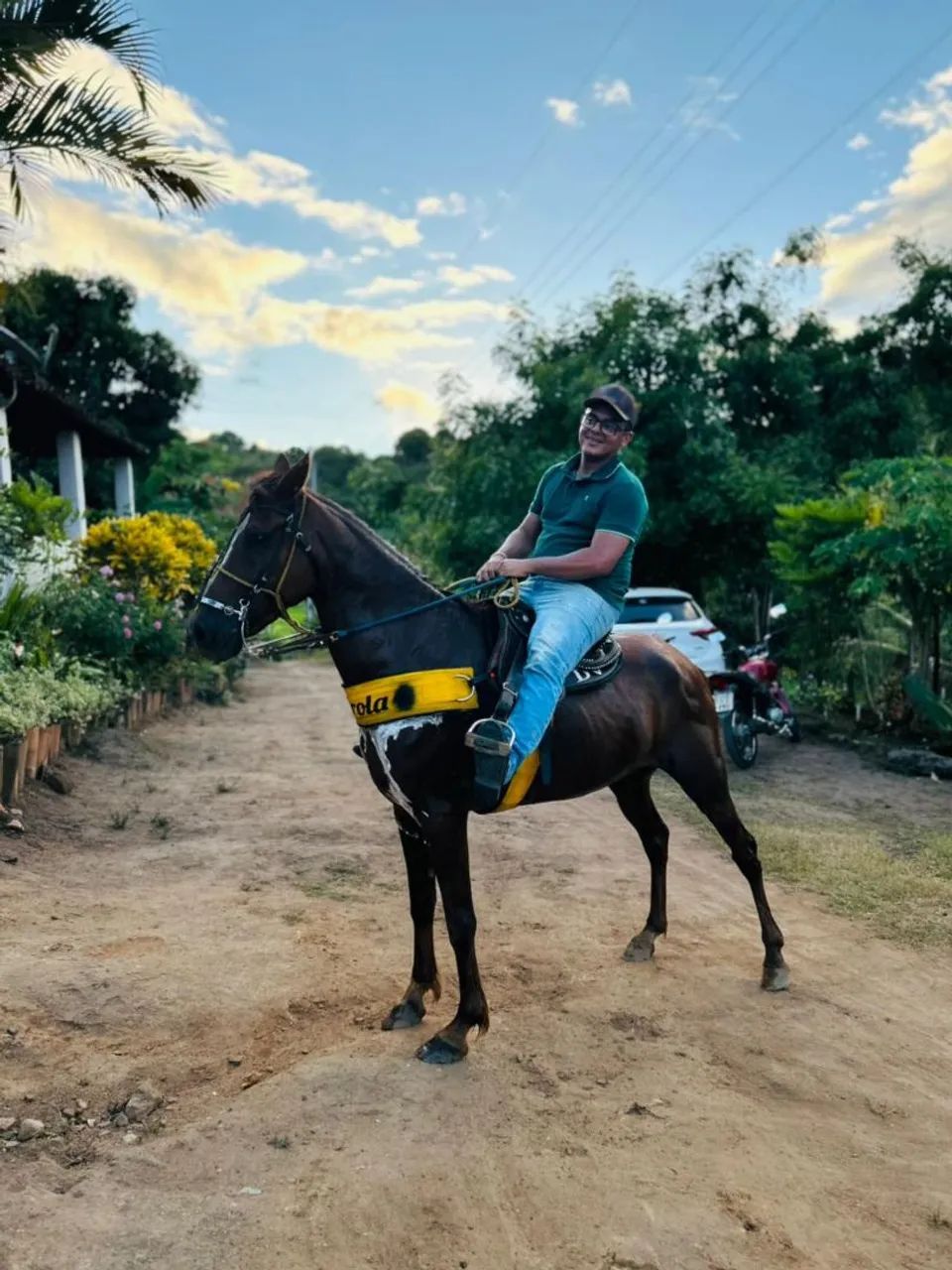 Vendo um cavalo manga larga marcha picada da idade de 5 anos andando muinto falar no zap   - Foto 3
