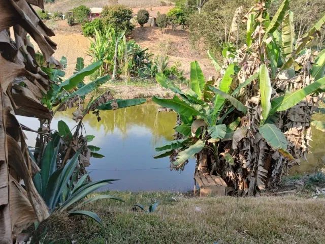 Chácara poço de peixe casa grande  - Foto 2