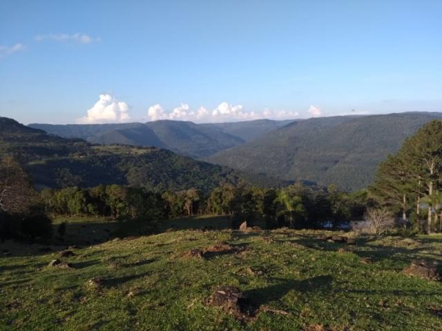 Sítio 12,0 hectares - samambaia - são francisco de paula - rs - Foto 11