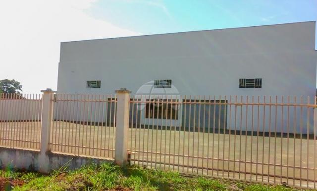 Galpão/depósito/armazém à venda em Vila nova, Teixeira soares cod:136088 - Foto 10