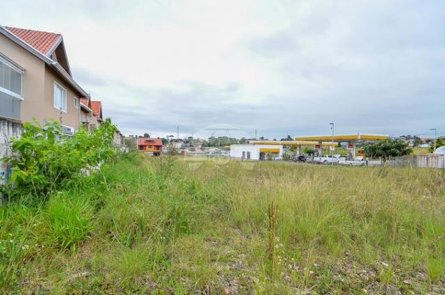 Terreno à venda em Pinheirinho, Curitiba cod:133325 - Foto 13