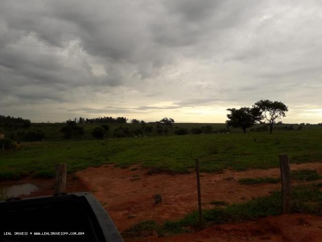 Chácara para venda em martinópolis, km 5 - Foto 11