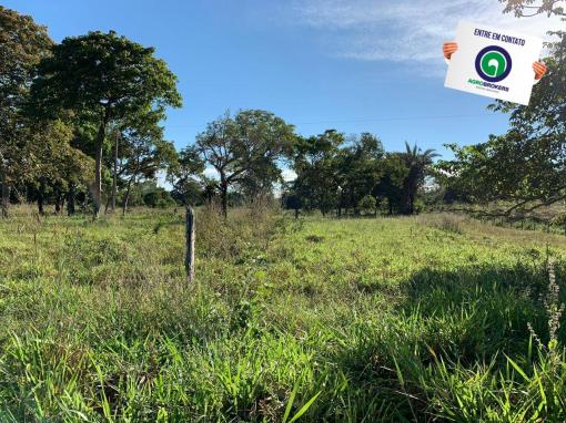 Fazenda região de rosário oeste - Foto 4
