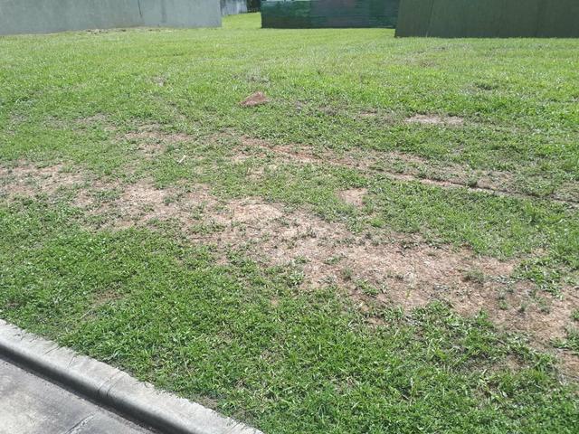 Alphaville Litoral Norte 1, Escriturado, sem débitos - Foto 2
