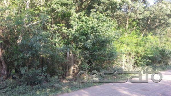 Terreno residencial à venda, novo mundo, gravataí - . - Foto 8