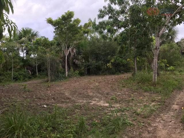 Terreno rural à venda, zona rural, barreirinhas - te0144. - Foto 5