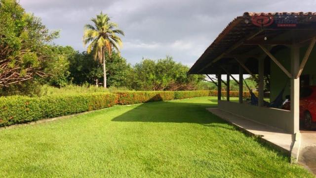 Chacara com pomar. - Foto 4