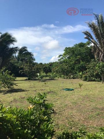 Chácara à venda, 38 m² por R$ 1.100.000 - Iguaíba - Paço do Lumiar/Maranhão - Foto 13