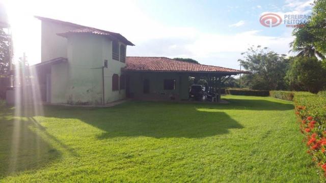 Chacara com pomar. - Foto 5