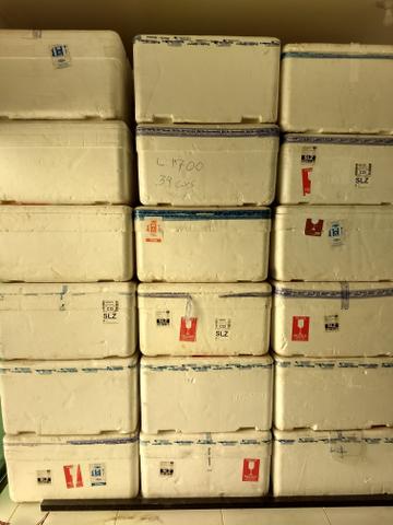 Caixas de Isopor 100/120 lts R$: 15,00 - Foto 5