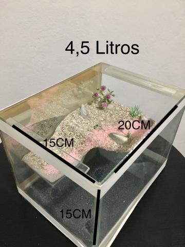 Terrário para tartaruga