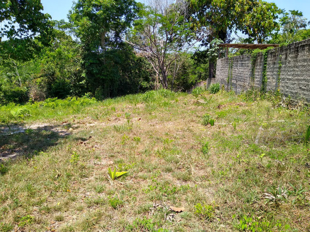 Terreno com igarapé - Foto 4
