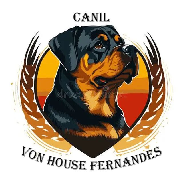 Filhotes de Rottweiler disponíveis - Foto 6