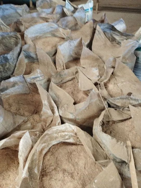 Pó de serra fino para venda - Foto 3