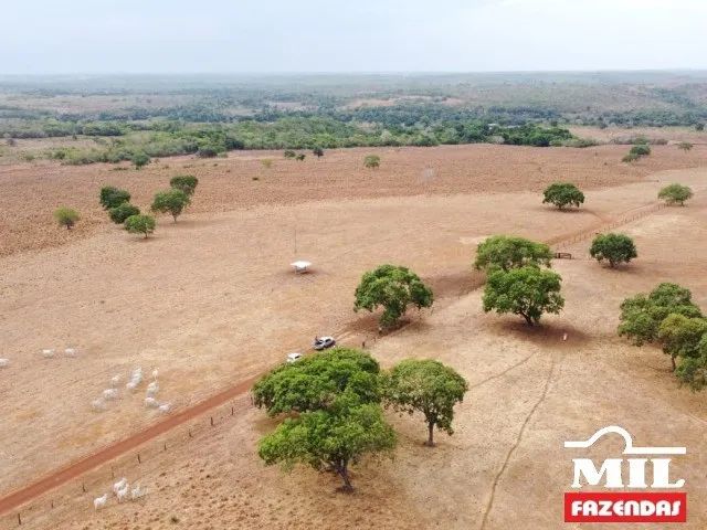 Fazenda em Duerê-TO. 400 Alq. (1.936 Há). p/ Soja e Gado - Foto 4