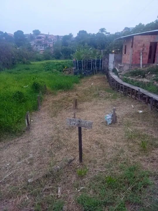 Vendo terreno em Manaus 