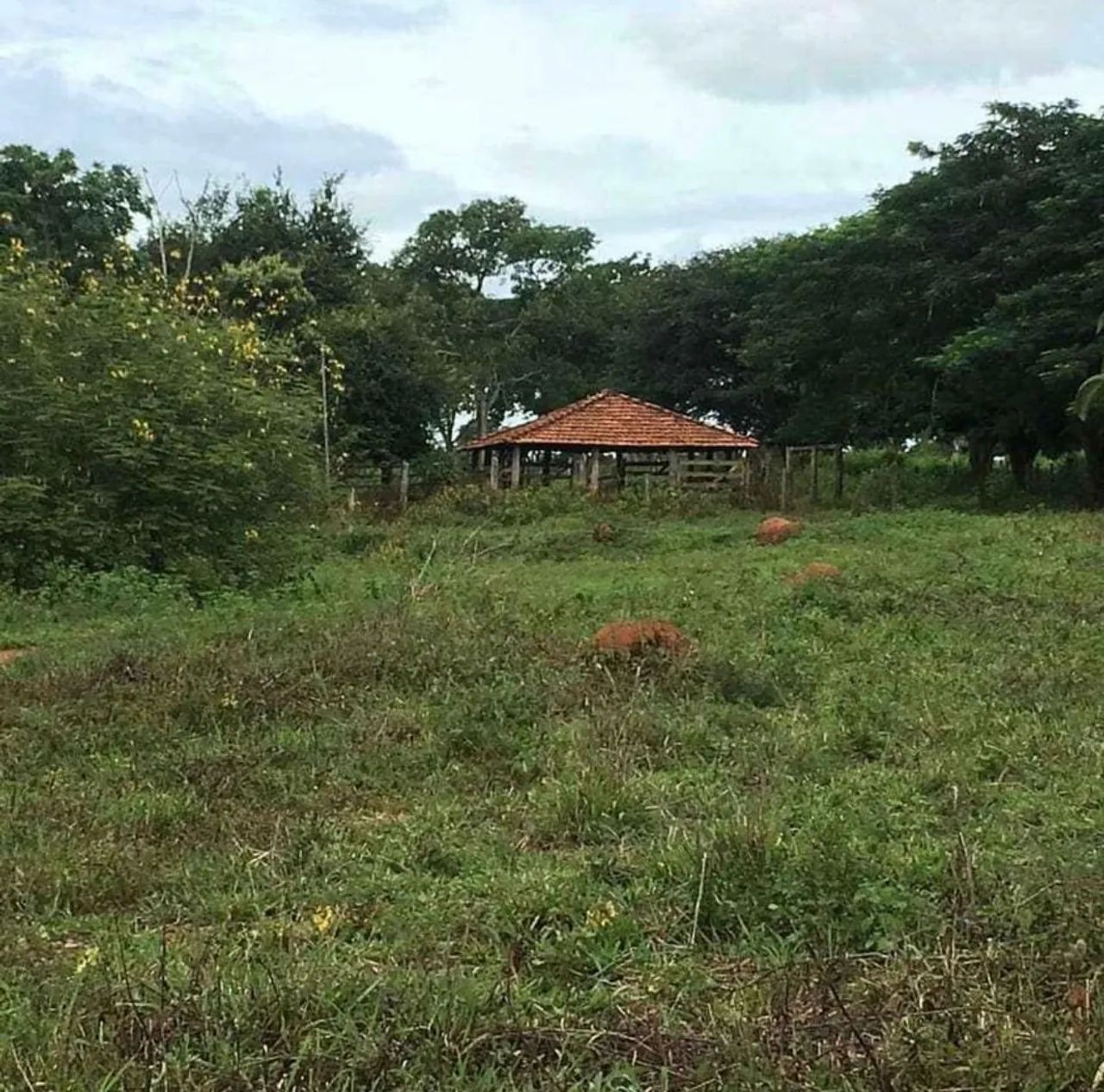 Chacara em santa barbara go - Foto 13