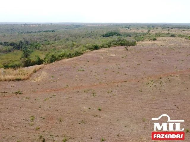 Fazenda em Duerê-TO. 400 Alq. (1.936 Há). p/ Soja e Gado - Foto 3