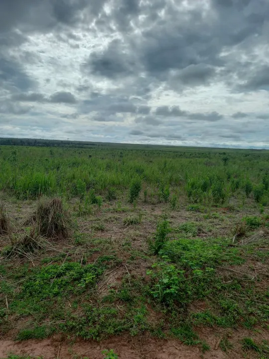 Fazenda 8.880 Hect e 4.500 Hect abertos R$:300 milhões