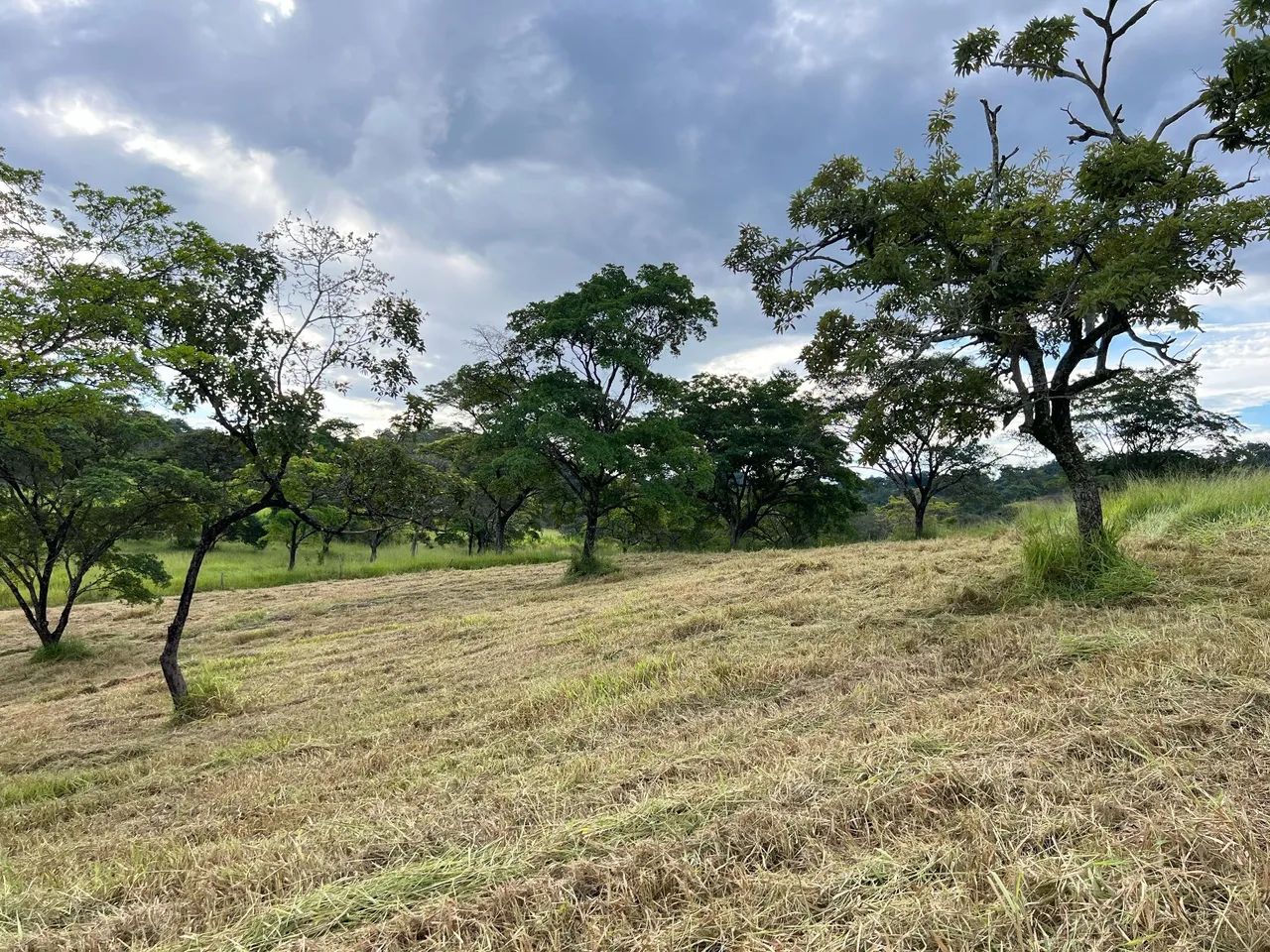 Terreno de 20 mil metros  - Foto 5