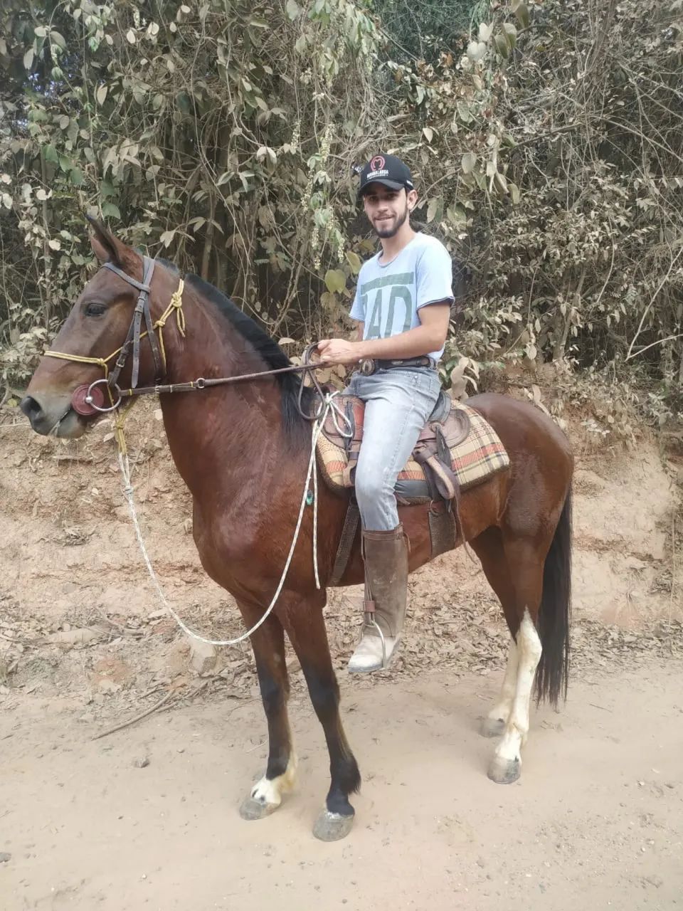 Cavalo Mangalarga Machador - Marcha Batida - Foto 3