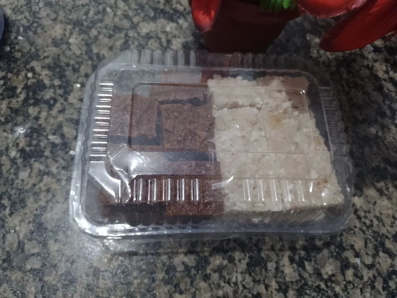 Cocada artesanal em embalagem para venda - Foto 2