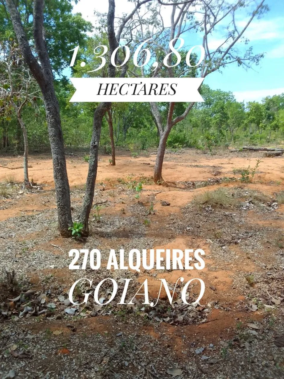FAZENDA 270 ALQUEIRES 15 MIL O ALQUEIRE