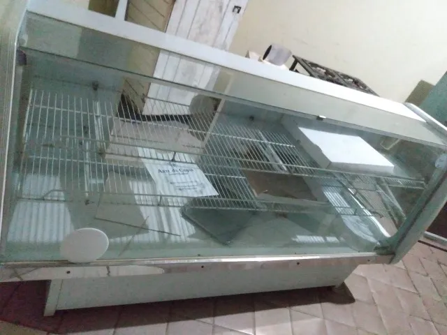 Balcão Vitrine Expositor