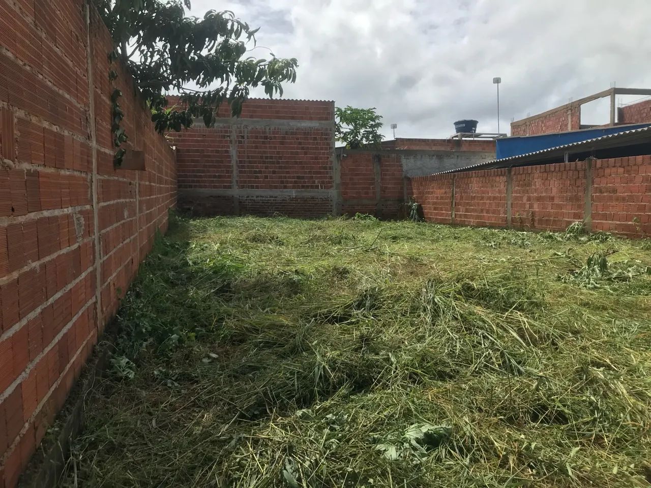 Vendo lote 250 mts2 - Foto 2