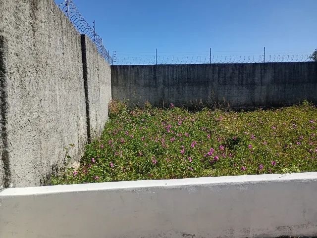 Terreno Pacatuba bairro Nova Pavuna - Foto 2