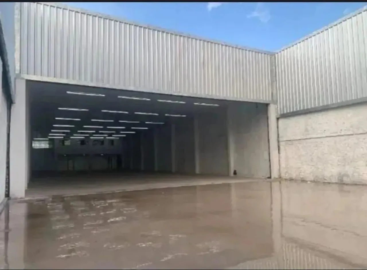 GALPÃO RODOVIA AUGUSTO MONTENEGRO - 1000m2