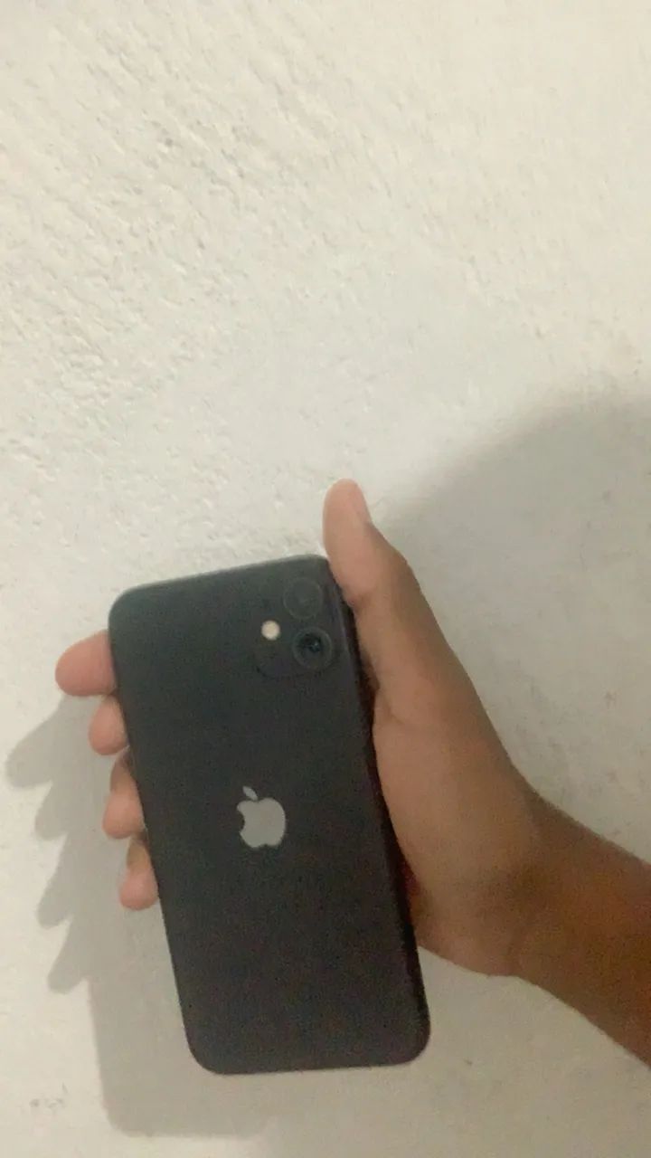 iPhone 11 placa queimada entrou água 