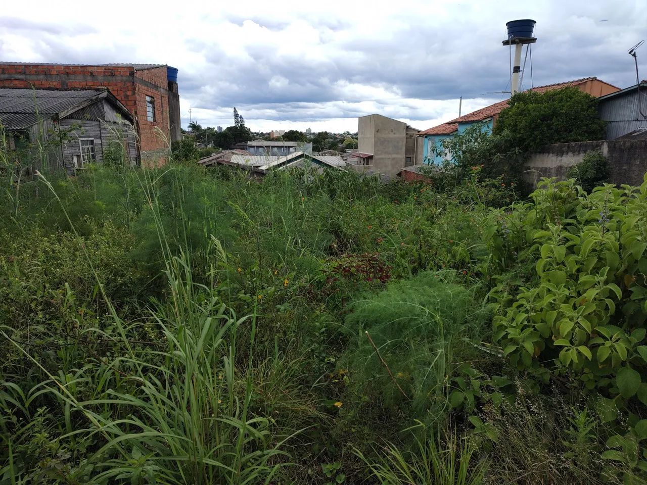 Jardineiro  - Foto 2