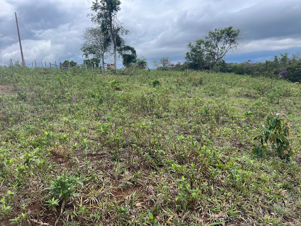 Lindas Chacaras  - Foto 4