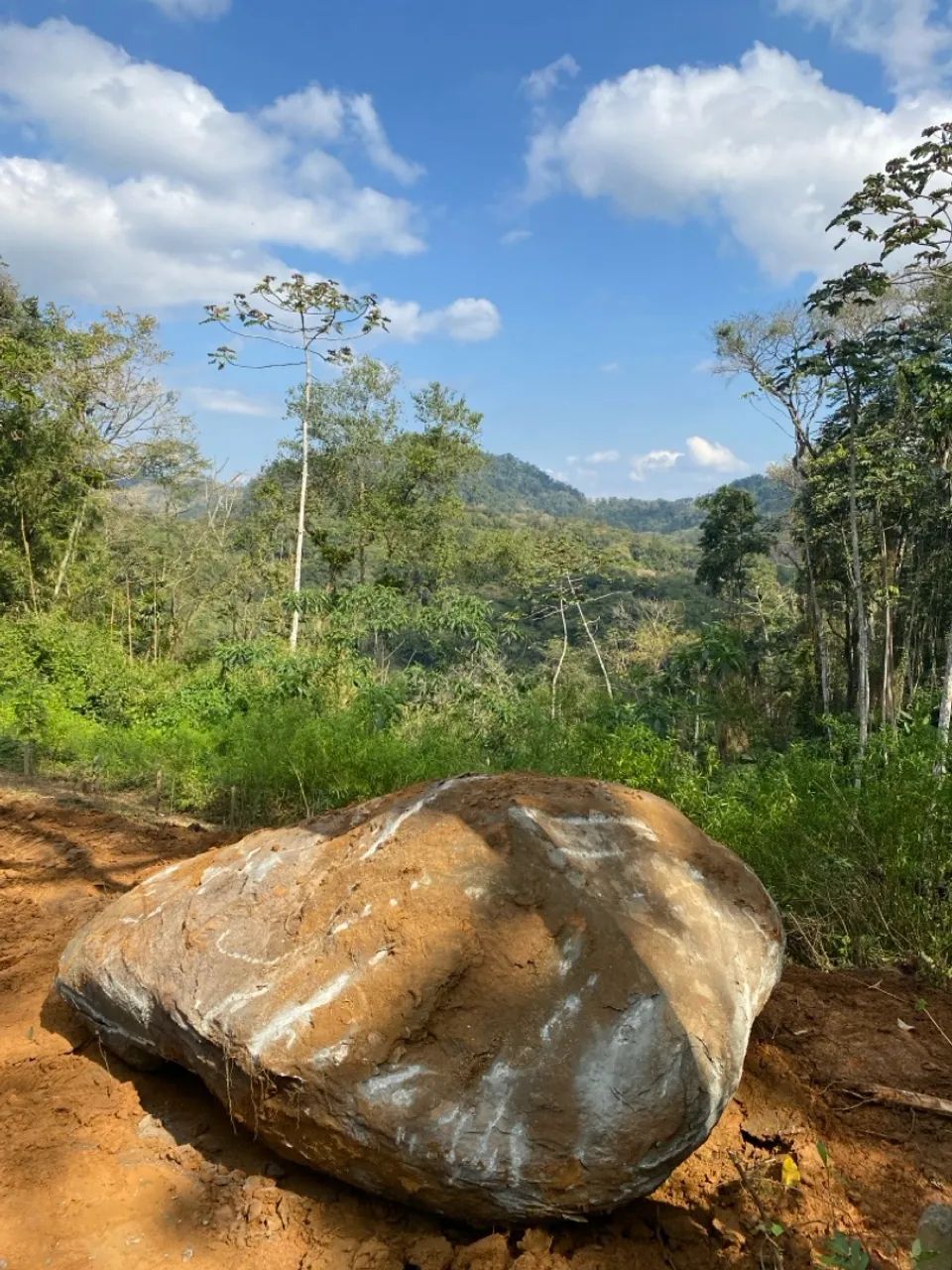Sítio em Pomerode  - Foto 4