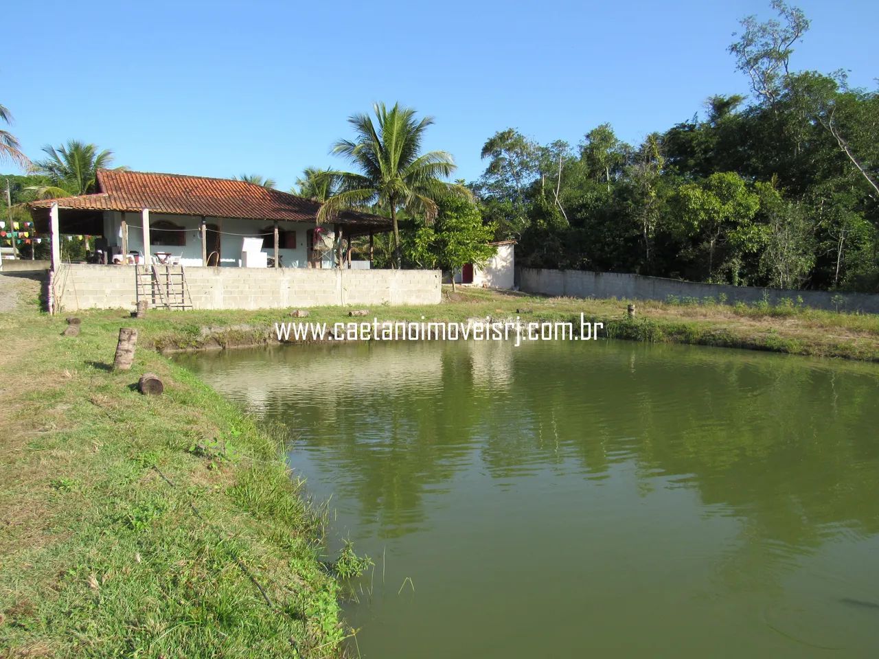 Sítio Com Pesque e Pague Montado de 14.000m2 Todo Plano e Murado - Foto 7