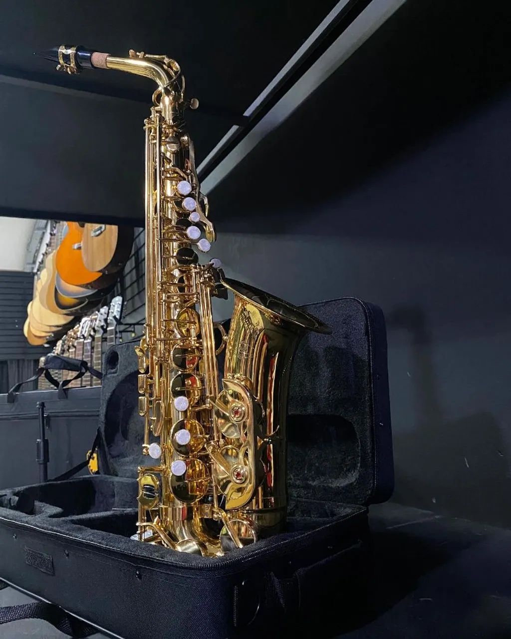 Saxofone Dourado Profissional - Instrumento Musical