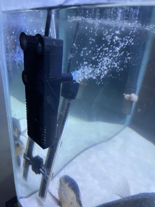 Aquário completo 80L - Foto 2