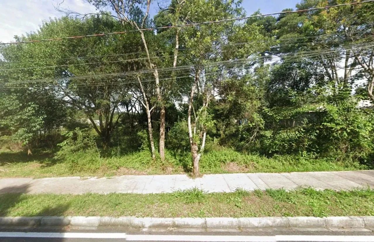 Terreno com 30.000 m², à venda por R$ 30.000.000 - Recanto Verde, Campina Grande do Sul (P - Foto 6