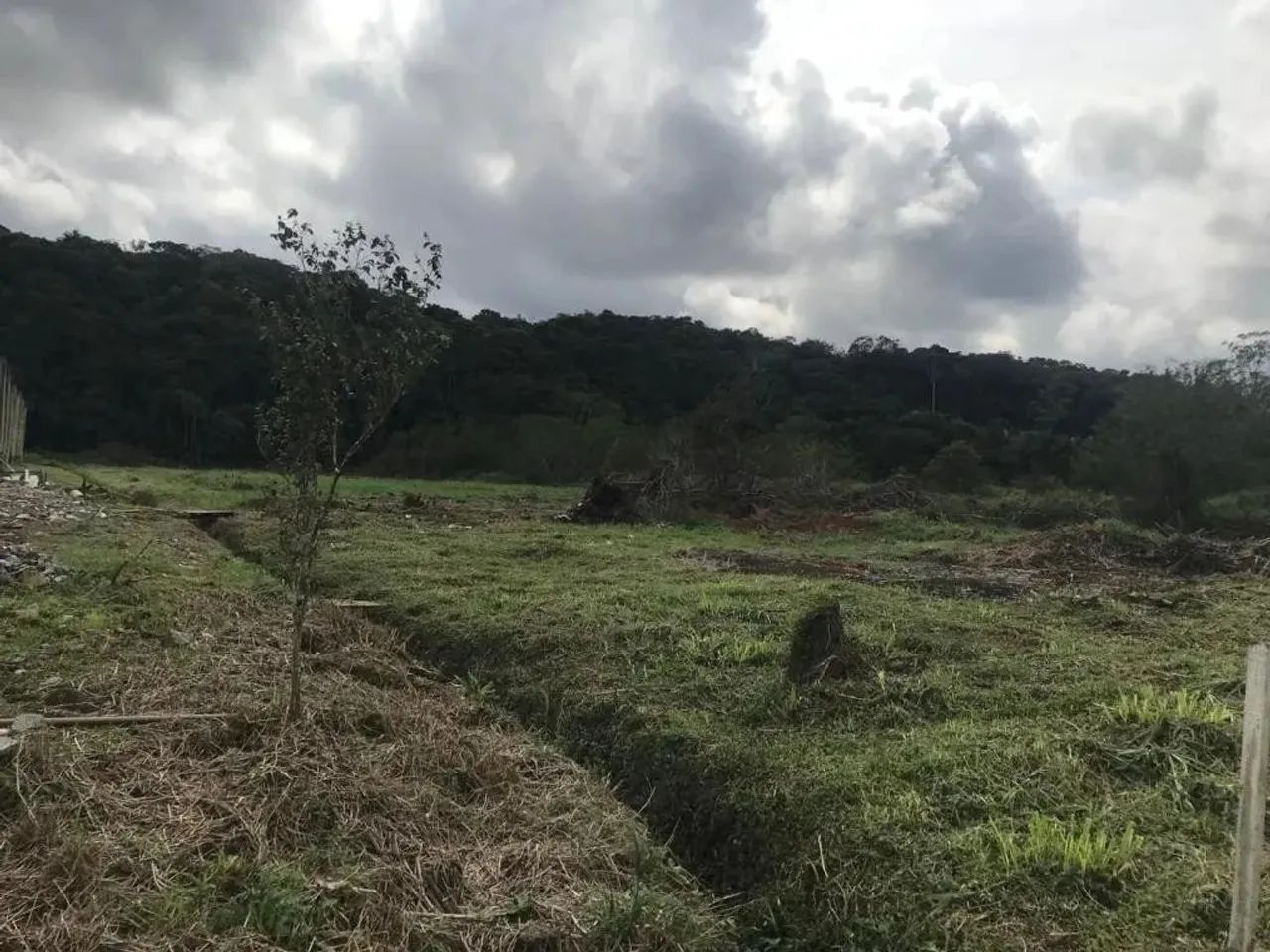 TERRENO no ITINGA com 0 quartos para VENDA, 24598 m² - Foto 3