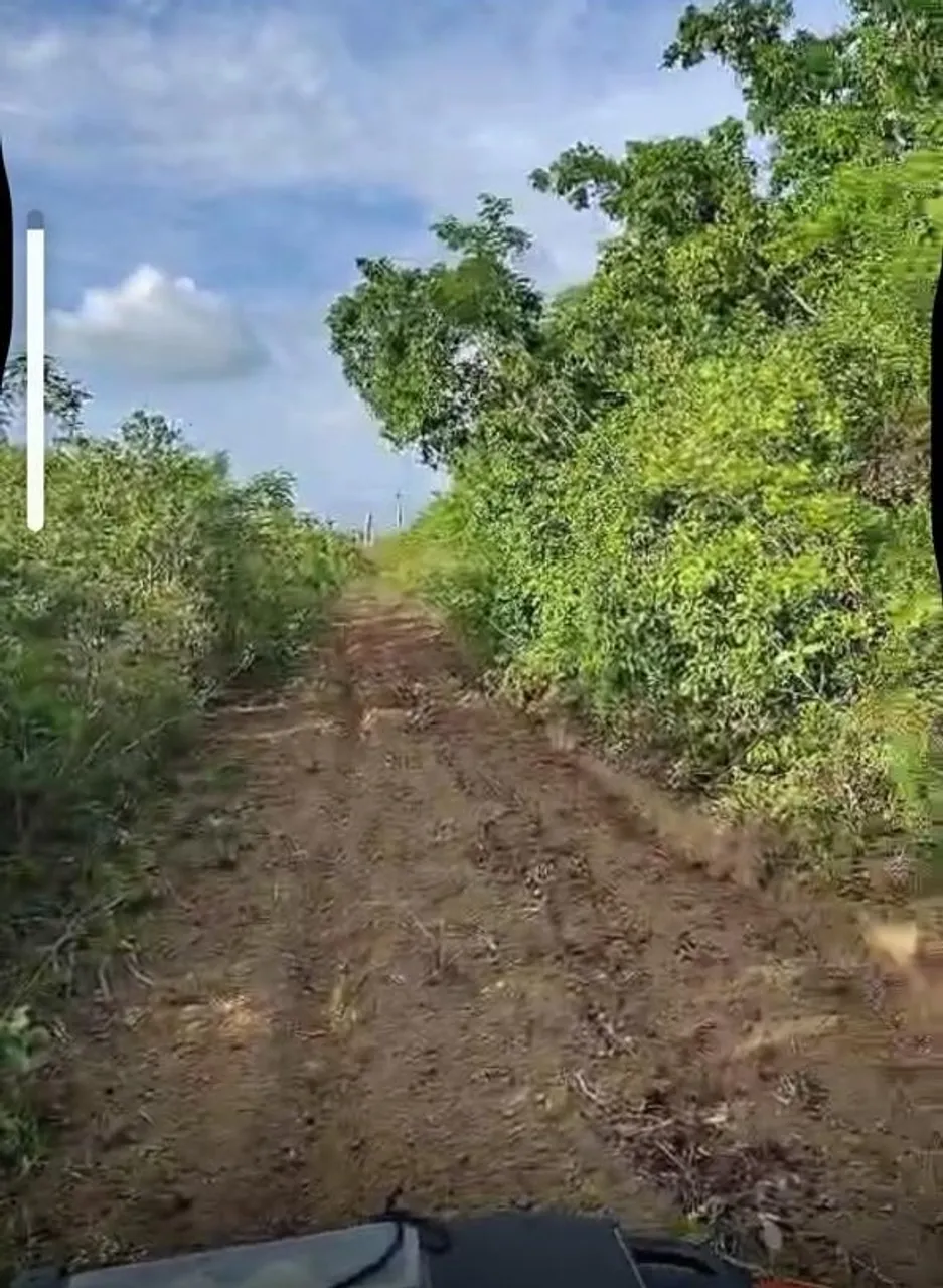 Terreno São Miguel do Gostoso - RN - 11 ha lindo